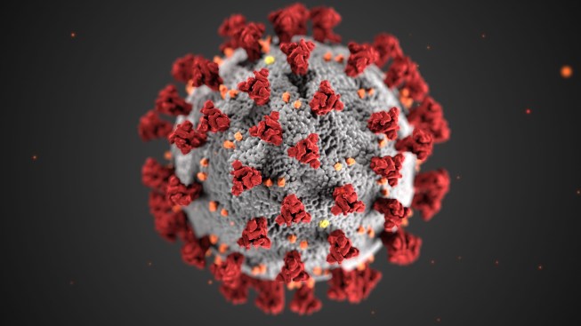 Coronavirus medical illustration, 2020; Designed by Alissa Eckert and Dan Higgins, Centers for Disease Control and Prevention