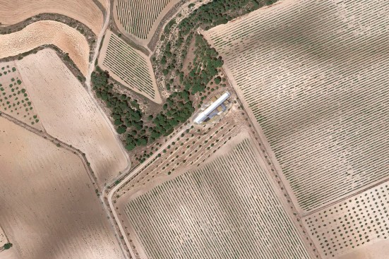 Aerial view of house and surrounding vineyard