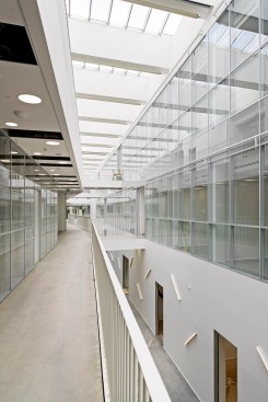 CF MØLLER ARCHITECTS. SDU Odense, Det tekniske Fakultet