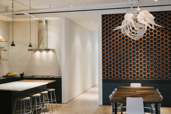 Terracotta drainage pipes are used as a wine rack. Above the table is a Beluga whale skeleton (plaster)