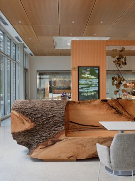 A bench made from an old oak tree inside Sassafrass Restaurant at the Missouri Botanical Garden