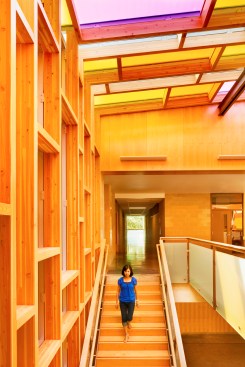 glass+and+glulam
