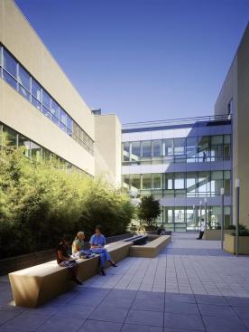 A second-floor courtyard is carved out of the center of the building, providing a secure outdoor space as well as a light well that allows natural light to penetrate the core. Pavers: American Hydrotech; Precast concrete pavers; hydrotechusa.com - Light Poles: HessAmerica; RIVA RV360 luminaire; hessamerica.com