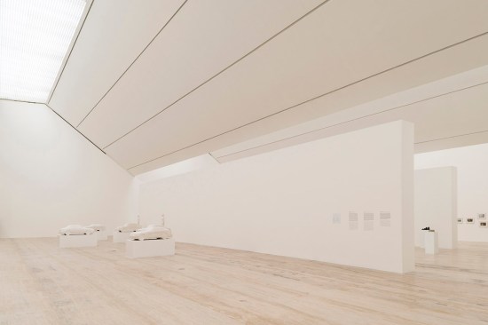 Museo Jumex - TAAU