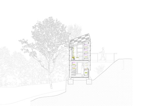 Section