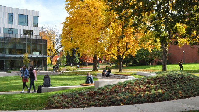 4.   The design reinvents a previously generic campus space into a campus destination.