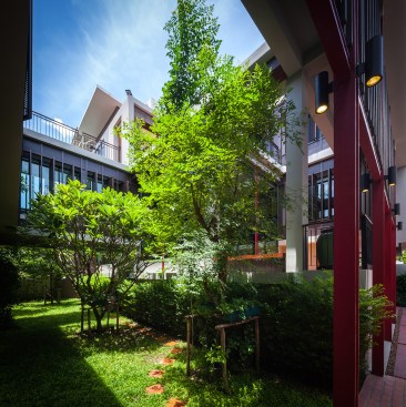 Nature court in the middle of the house