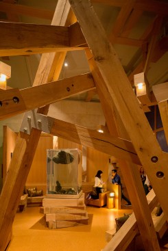 Nasher Sculpture Center, Dallas