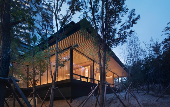 view from forest