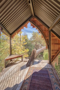 Inside The Treehouse, kids can roam freely above the animals.