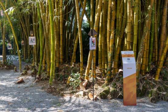 The bam'bo͞o bar 箂 at Casacor Rio 2022