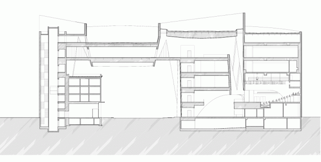 Section