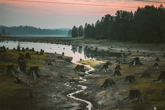 Scientists warn that further deforestation and biodiversity loss will increase the chances of more pandemics.