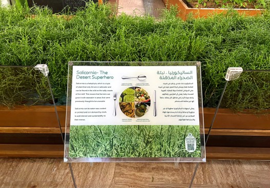 The Desert Farm exhibit detail