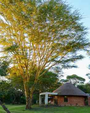 Lilayi lodge in Lusaka