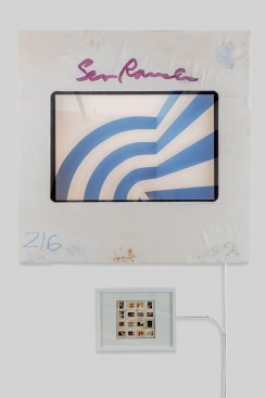 Sea Ranch Supergraphics by Barbara Stauffacher Solomon