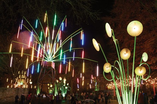 “Garden of Light” designed by the French collective TILT, was on display during the Durham 2015 light festival.
