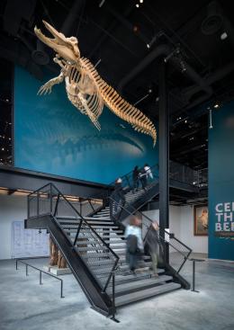 The Burke Museum | Olson Kundig