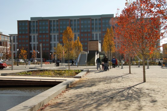 Linear rain garden with a view to the stairs leading to the roof of the cafe pavilion.