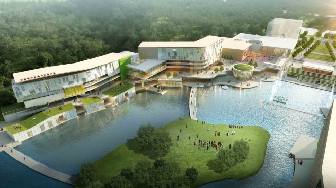 An+open+grassland+in+the+centre+of+the+pond