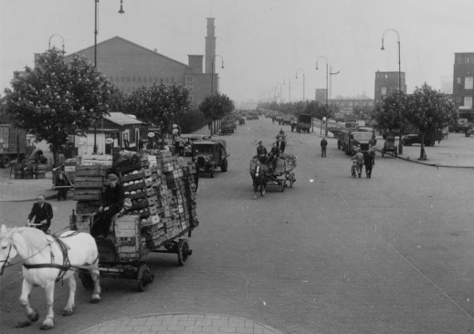 The Food Centre terrain, a long quay bounded by two canals, will be renewed and more efficiently organized by developing the series of harbour basins that were filled in and reclaimed during the seventies.
