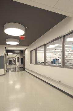 A design feature to engage visitors include windows that look into the labs. Another design feature, aimed at giving texture to the ceiling, is the use of large round specialty lights meant to evoke the aluminum can shape.