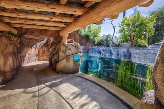 View of the design for the interactive aquarium exhibit.