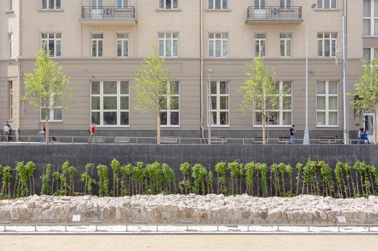 A pigmented black concrete wall with climbing ivy acts as a background to the historic white wall. 
