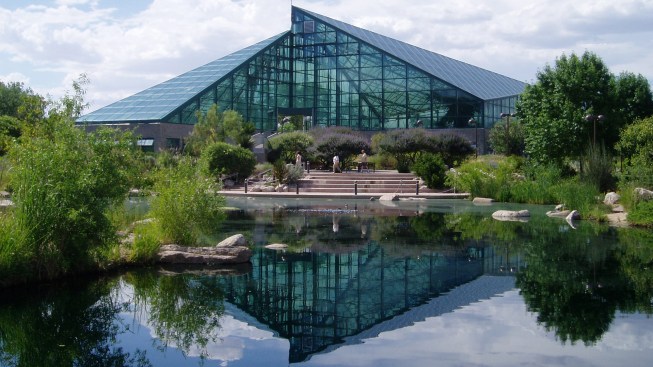 The Rio Grande Botanic Garden Conservatory, in Albuquerque, N.M., uses solar design strategies to simulate desert and Mediterranean climates “passively” in an all-glass building.