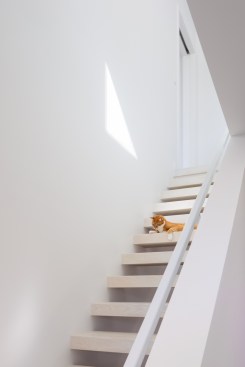The white oak floating slab stairs were a collaboration between the contractor and clients. Simple and minimal, the muted white tone maintains a cohesive dialogue with the rest of the interior palette.