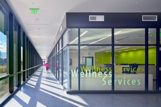 Wellness Services