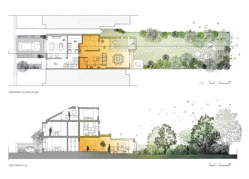 Plan and Section