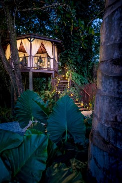 Capella Marigot Bay Spa Designed By OBMI Architecture Firm