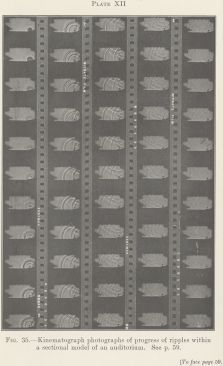 Figure 9: Alfred H. Davis and George W. C. Kaye, kinematographic visualization of sound propagation in a ripple tank, 1927 (Alfred H. Davis and George W. C. Kaye, The Acoustics of Buildings [London: G. Bell and Sons, 1927], plate XII).