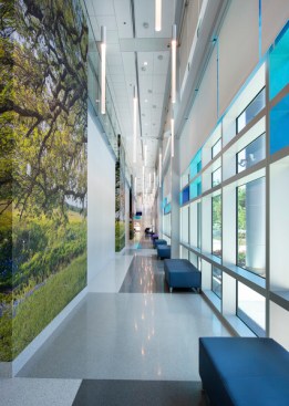 Gresham Smith-planned and designed M.T. Mustian Center at Tallahassee Memorial HealthCare