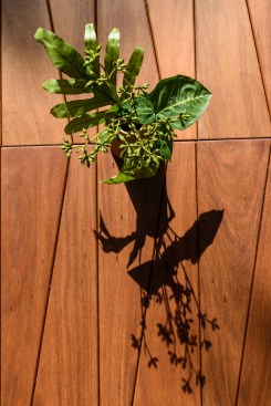 The bam'bo͞o bar 箂 at Casacor Rio 2022