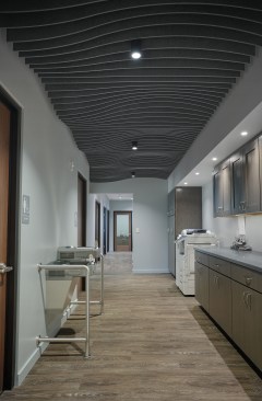 Feltworks Blades in Ebbs & Flows, by Armstrong Ceiling & Wall Solutions