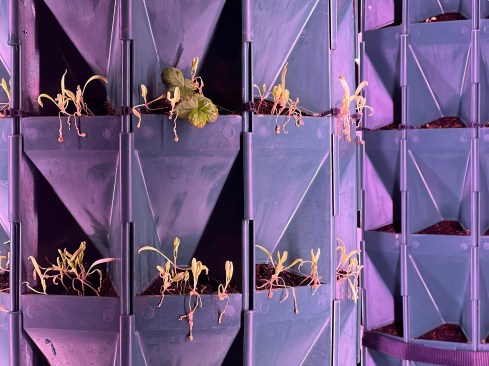 Detail of the vertical farm exhibit at the Finland Pavilion
