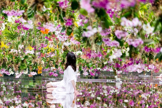 "Floating Flower Garden."