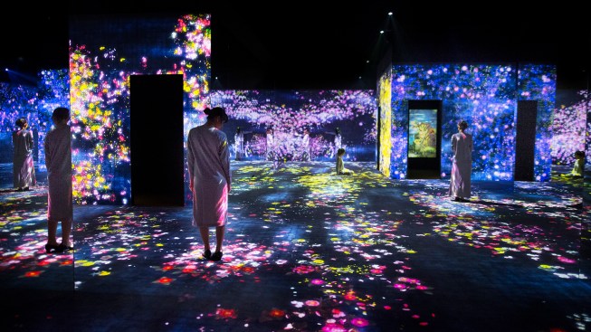 "Flower Forest, Lost, Immersed and Reborn"