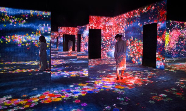 "Flower Forest, Lost, Immersed and Reborn"