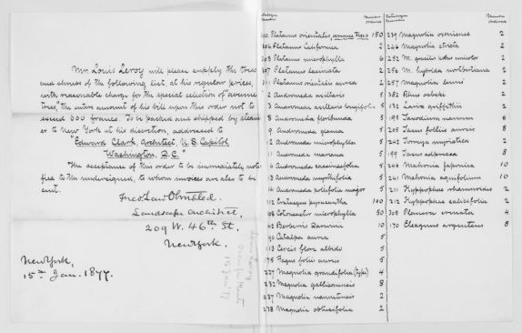 Letter, Frederick Law Olmsted to Louis Leroy, Jan. 15, 1877, with a plant order for the U.S. Capitol grounds