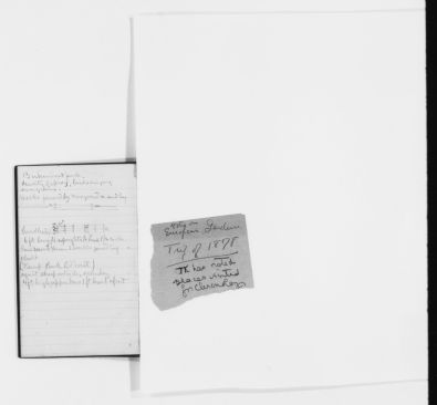 Frederick Law Olmsted notebook entry (ca. 1878) about Birkenhead Park, England, which had been an inspiration to Olmsted in planning New York's Central Park