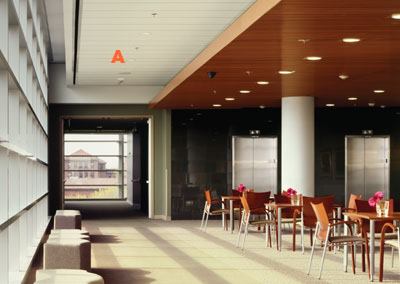 Cirrus ceiling system  Armstrong 
armstrong.com  Fine textured surface  • Provides good acoustics and light reflectance  • BioBlock paint inhibits mold and mildew growth  • HumiGuard Plus offers no-sag performance  • Available in a variety of square tiles and planks  • Cirrus Profiles adds edge detailing to give a more tailored appearance