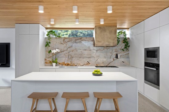 Garden Laneway House. Toronto. Williamson Williamson