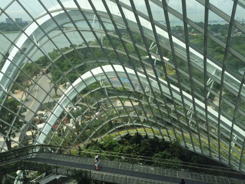 A column-free shell forms each of the Flower Dome and Cloud Forest (shown).