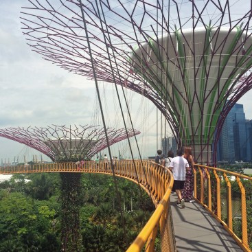 ARCHITECT explores the Supertrees walkway.