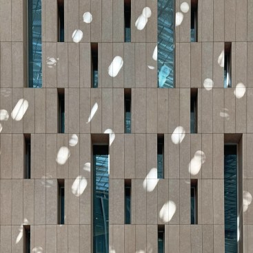 Dappled light animates the museum interior throughout the day.
