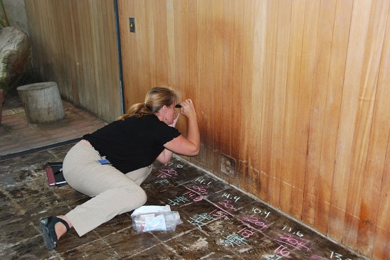GCI assistant scientist Joy Mazurek conducts a wood panel investigation at the Eames House, one of the model field study projects