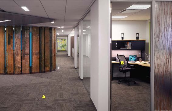 A  Liberty chair Humanscale 
www.humanscale.com Nonstretch mesh structure provides lumbar support without external adjustments  No tension springs to adjust  Tripanel back construction  Counterbalance recline mechanism  Modular seat cushion for easy replacement 
B  Modular carpet tile InterfaceFLOR 
www.interface.flor.com Varied high-performance baking options  Dozens of pattern collections  Large- and small-scaled patterns  Vivid and neutral color palettes  Specific commercialgrade lines  Stain, mold, and mildew resistant  Several environmentally friendly options including recycled content and hybrid fibers made from cornstarch